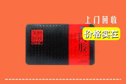 吕梁市柳林回收阿胶