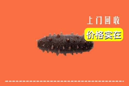 吕梁市柳林回收海参