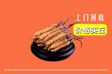 吕梁市柳林回收冬虫夏草