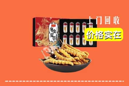 吕梁市柳林回收虫草
